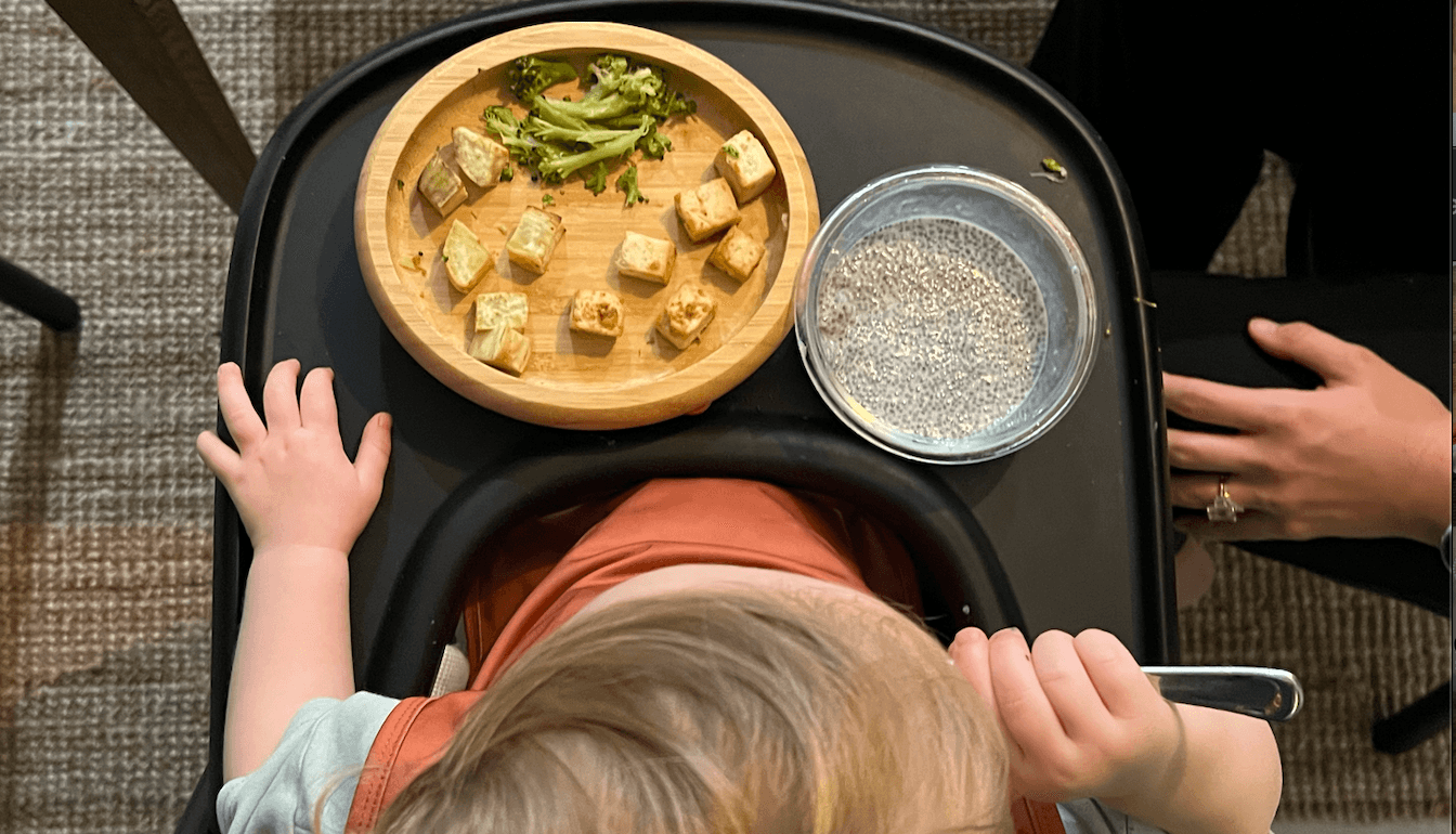 Baby Led Weaning